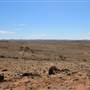 Broken Hill Sculptures Site and Living Desert