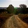 Hopeful Ranch Olive Farm File 1