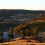 Hopeful Ranch Olive Farm File 1