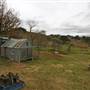 Hopeful Ranch Olive Farm File 2