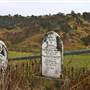 Hopeful Ranch Olive Farm File 4 Cemetery
