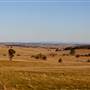 Crookwell Wind Farm Lookout