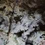 Jenolan Caves