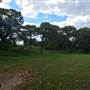 Centennial Park