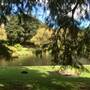 Centennial Park