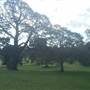 Centennial Park