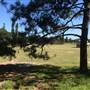 Centennial Park