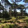 Centennial Park