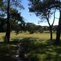 Centennial Park