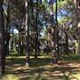 Centennial Park
