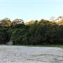 Collins Flat Beach