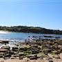 Little Bay