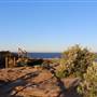 Dunningham Reserve Coogee