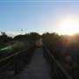 Dunningham Reserve Coogee