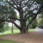 Maiden Theatre - Royal Botanic Garden Sydney