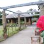 Rose Garden & Pavilion - Royal Botanic Garden Sydney