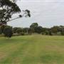 Centennial Park - Ash Paddock