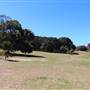Centennial Park - Brazilian Fields