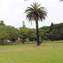 Centennial Park - Church Grounds