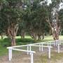 Centennial Park - Equestrian Grounds