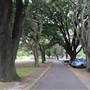 Centennial Park - Equestrian Grounds
