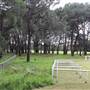 Centennial Park - Equestrian Grounds