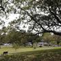 Centennial Park - Mount Steel