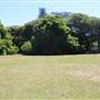 Centennial Park - Musgrave Pond