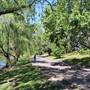 Centennial Park - Musgrave Pond