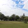 Centennial Park - Paperbark Grove