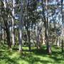 Centennial Park - Sandstone Ridge