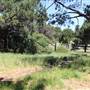 Centennial Park - Sandstone Ridge