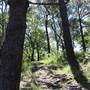 Centennial Park - Sandstone Ridge