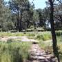 Centennial Park - Sandstone Ridge