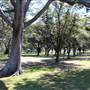 Centennial Park - Federation Way