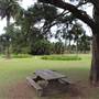 Centennial Park - Frog Hollow