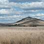 Goulburn Area