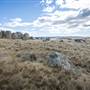 Monaro Plains