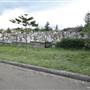 South Head Cemetery