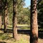 Fagan Park