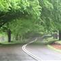 Mount Wilson Roads