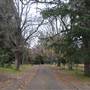 Hillview Heritage Hotel - Southern Highlands