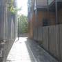 The Rocks - Susannah Place
