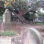 Newtown Cemetery