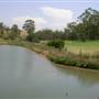 The Australian Botanic Garden Mount Annan