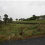 Carcoar Tallwood Mill Rd