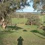 Rainevale Park/Mymms Farm