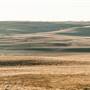 Monaro Plains