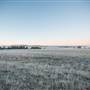 Monaro - Winter Frost