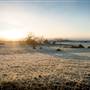 Monaro - Winter Frost